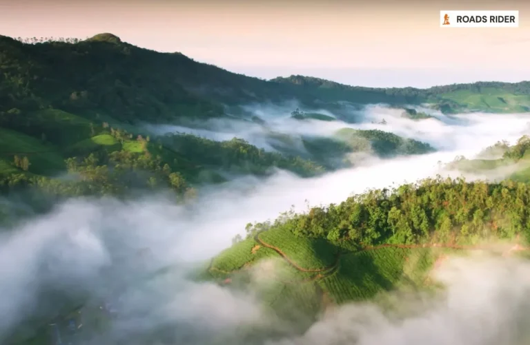 300+ Quotes on Munnar’s Beauty