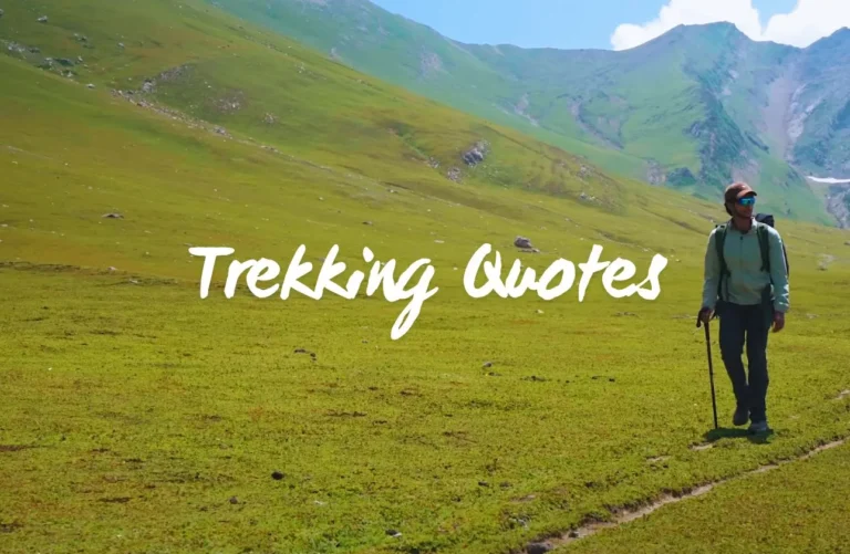 300+ Unique Trekking Quotes