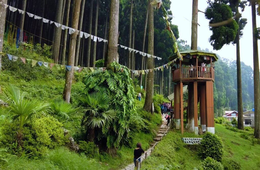 lamahatta wooden watch tower